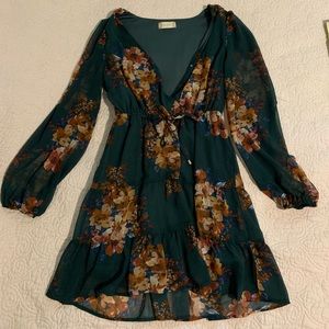 Boutique Sheer Floral Dress Long Puffy Sleeves